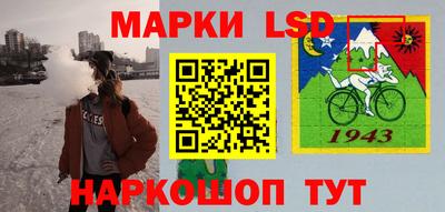 дмт Владимир