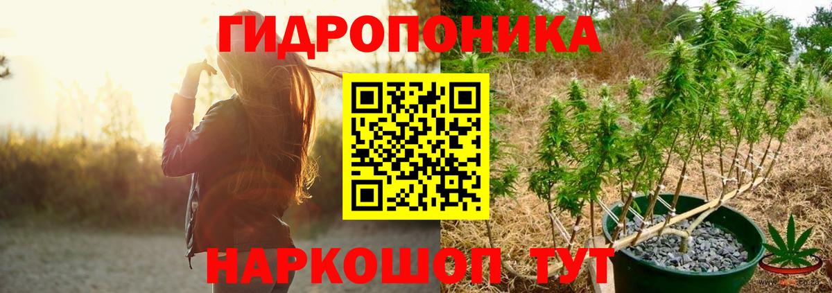 Марихуана планчик Сертолово